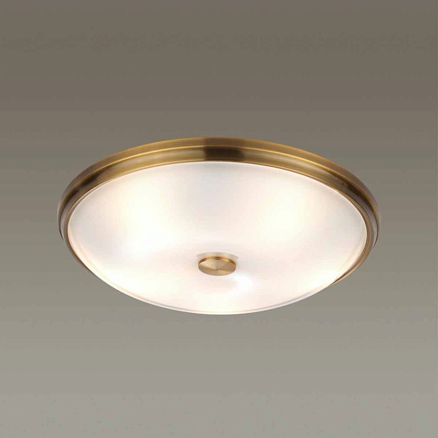 Потолочный светильник Odeon Light Walli Pelow 4956/5 Фото № 3