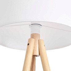 Напольный светильник (торшер) Freya FR5495FL-01W 2