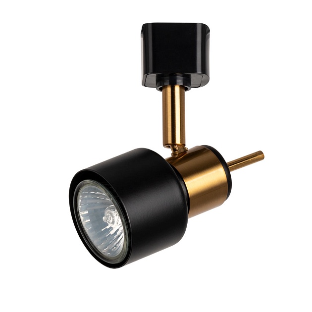 Спот Arte Lamp Almach A1906PL-1BK изображение 1 Спот Arte Lamp Almach A1906PL-1BK Фото № 1
