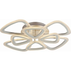 Накладной светильник LEEK LE061305-006