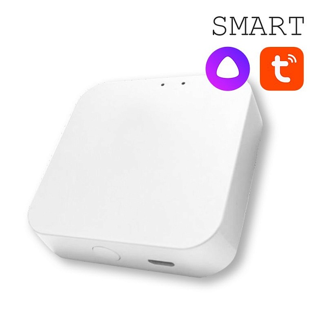 Конвертер WI-FI EKS Colibri Smart 0У-00002005 изображение 1 Конвертер WI-FI EKS Colibri Smart 0У-00002005 Фото № 1