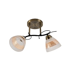 Потолочный светильник ЭкономСвет 12260/2AB+BK WT+TEA