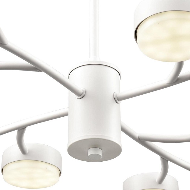 Люстра Lumion TORINA 8265/12 изображение 3 Люстра Lumion TORINA 8265/12 Фото № 3