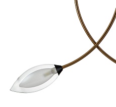 Подвесная люстра Indigo Fiore 13001/2P Black V000140 2