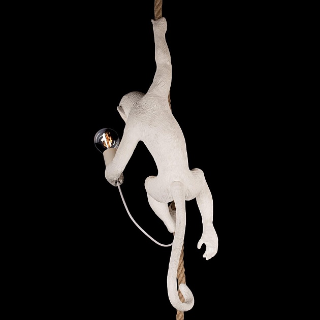 Подвесной светильник Loft IT Monkey 10314P изображение 8 Подвесной светильник Loft IT Monkey 10314P Фото № 8