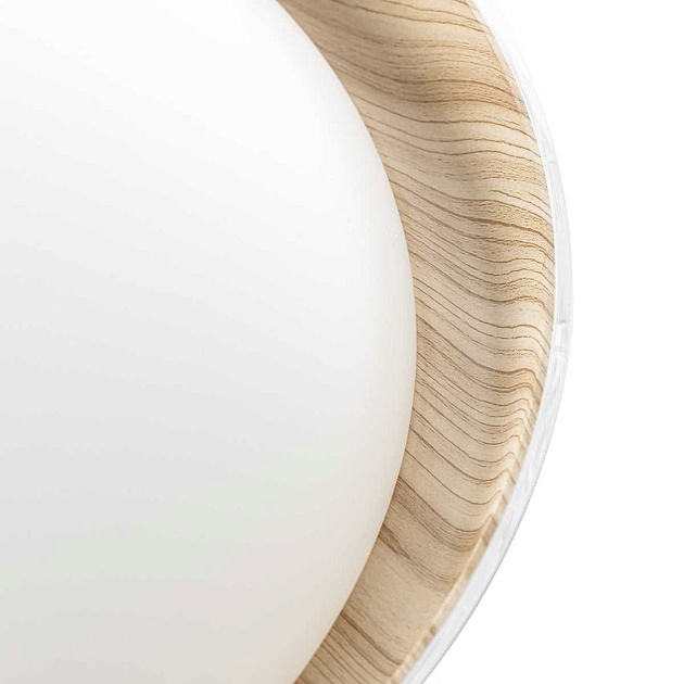 Потолочный светодиодный светильник Citilux Mega CL752452G Фото № 11