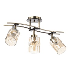 Спот Citilux Мерида CL142134 5