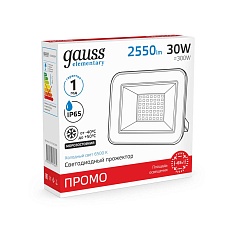 Прожектор светодиодный Gauss 30W 613100330 3