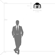 Потолочный светодиодный светильник Lightstar Celesta 809062 4