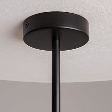 Подвесная люстра Maytoni Organic MOD225PL-04B 2