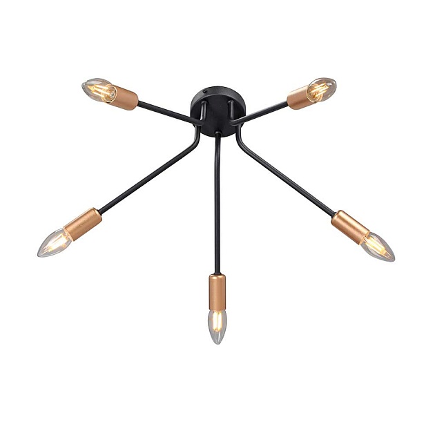 Потолочная люстра Vitaluce V3020-1/5PL Фото № 1