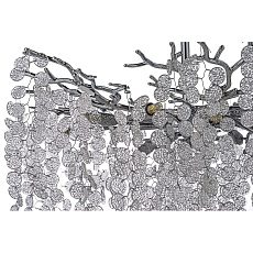 Потолочная люстра Dio DArte Elite Tavenna H 1.3.76.103 N 2