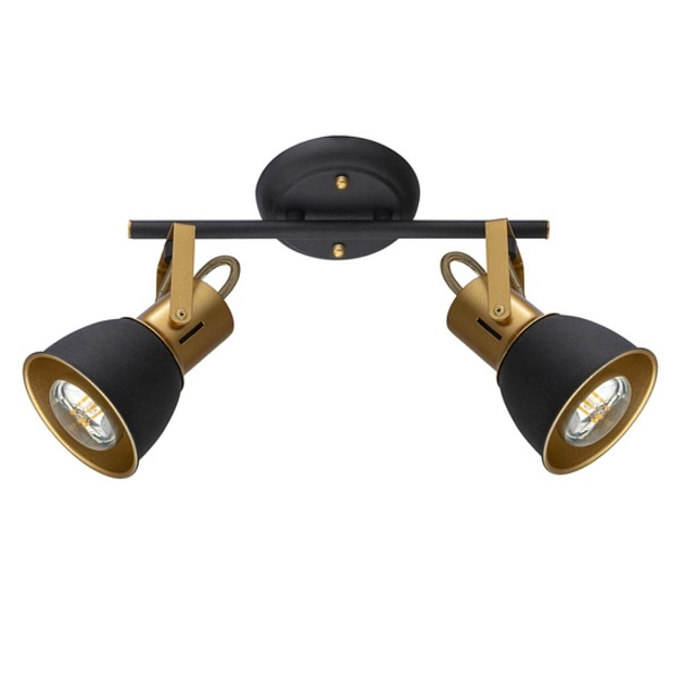Спот Arte Lamp Jovi A1677PL-2GO изображение 1 Спот Arte Lamp Jovi A1677PL-2GO Фото № 1