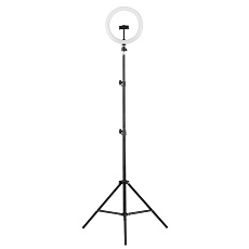 Торшер Camelion KD-810F C02 13010