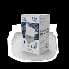 Лампа светодиодная Gauss E40 80W 6500K матовая 63438 2