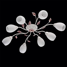 Потолочная люстра MW-Light Восторг 242016508 1