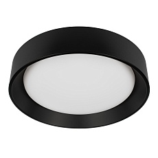 Потолочный светильник Loft it Coin 10202 BB