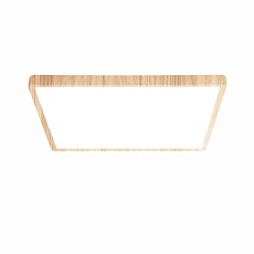 Накладной светодиодный светильник LEEK LE061209-030