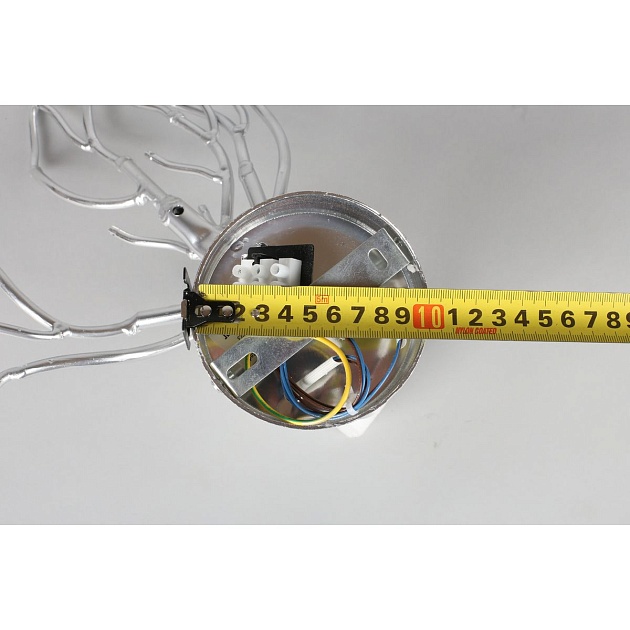 Настенный светильник Aployt Gertunia APL.847.11.03 Фото № 3