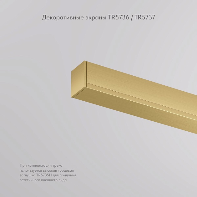 Вставка декоративная Denkirs Shine Base TR5737-SB изображение 8 Вставка декоративная Denkirs Shine Base TR5737-SB Фото № 8