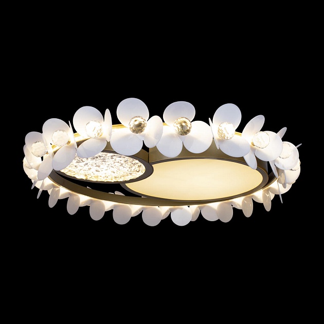 Потолочный светодиодный светильник Loft IT Bride 10174 изображение 2 Потолочный светодиодный светильник Loft IT Bride 10174 Фото № 2