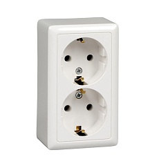 Розетка двойная 2К+З Systeme Electric Хит 16A 250V белая RA16-238I-B