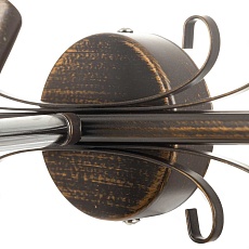 Спот Citilux Дункан CL529531 3