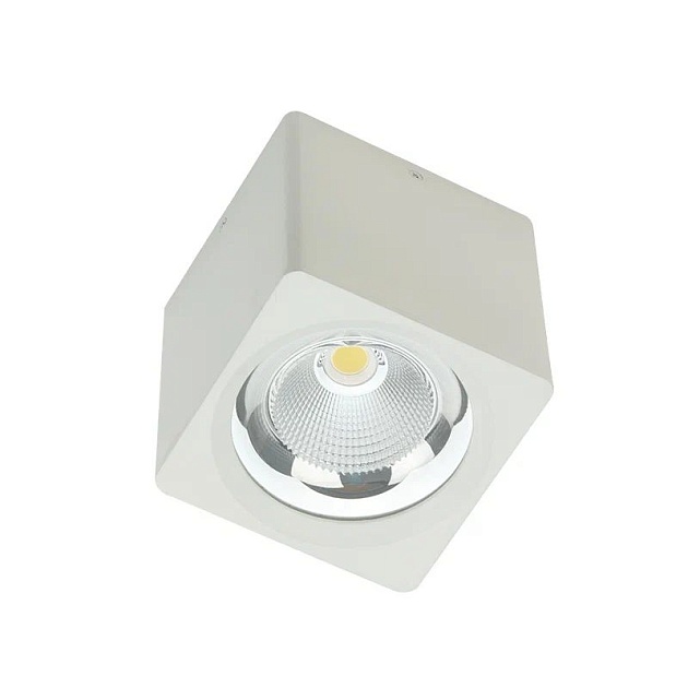 Потолочный светодиодный светильник Fiberli CH-SD220-1 12120101 изображение 1 Потолочный светодиодный светильник Fiberli CH-SD220-1 12120101 Фото № 1