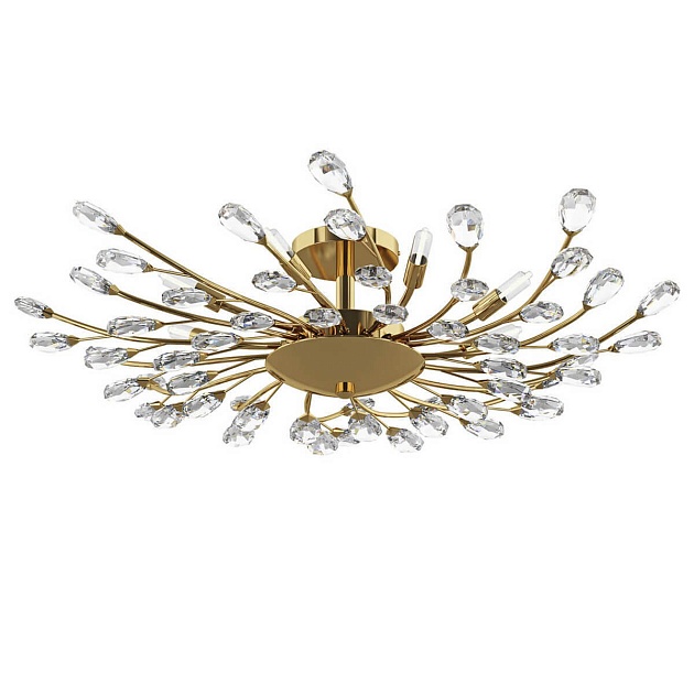 Потолочная люстра Lightstar Isabelle 791182 изображение 1 Потолочная люстра Lightstar Isabelle 791182 Фото № 1