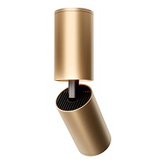 Спот Maytoni Focus S C051CL-01G 2