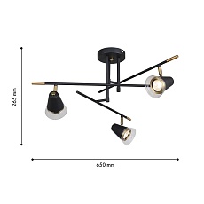 Потолочная люстра F-Promo Trandy 4618-3C 1