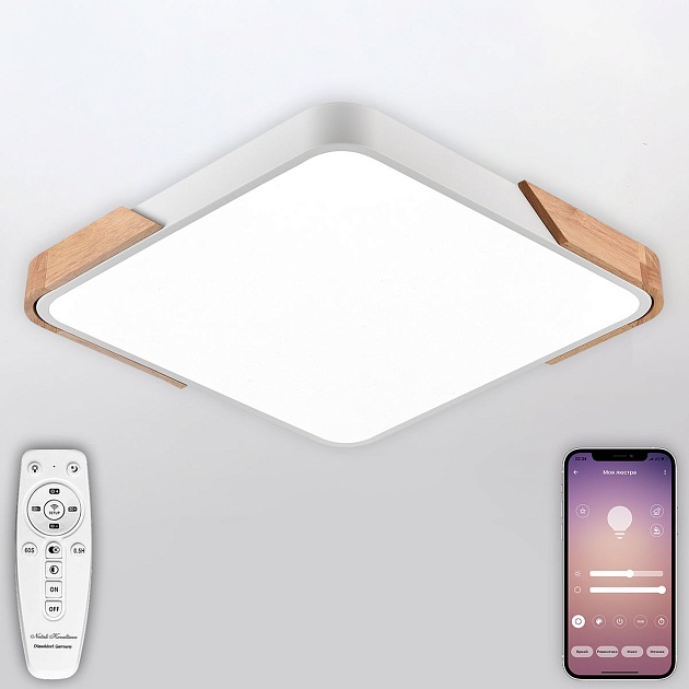Потолочный светодиодный светильник Natali Kovaltseva LED LAMPS 81410 изображение 6 Потолочный светодиодный светильник Natali Kovaltseva LED LAMPS 81410 Фото № 6