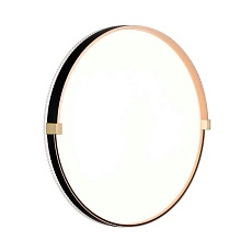 Настенно-потолочный светодиодный светильник Sonex Pale Olidi Black 7647/DL 1