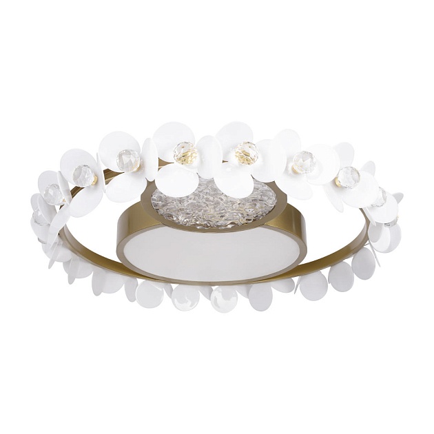 Потолочный светодиодный светильник Loft IT Bride 10174 изображение 4 Потолочный светодиодный светильник Loft IT Bride 10174 Фото № 4