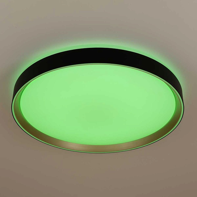 Потолочный светодиодный светильник Citilux Boss CL751451G Фото № 13