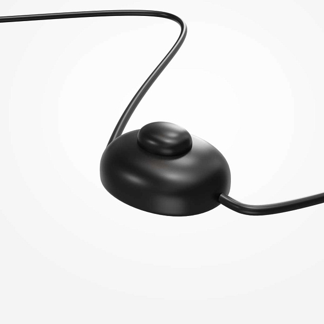 Напольный светильник (торшер) Maytoni MOD372FL-L10BS3K Фото № 8