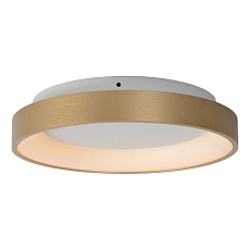 Потолочный светодиодный светильник Lucide Vidal 46103/20/02 2