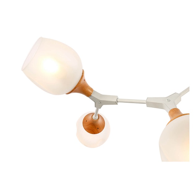 Потолочная люстра Evoluce Ciotolla SLE113502-05 изображение 4 Потолочная люстра Evoluce Ciotolla SLE113502-05 Фото № 4
