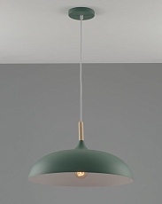 Подвесной светильник Moderli Hygo V11453-1P 4