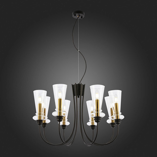 Подвесная люстра Evoluce Rammo SLE112403-08 изображение 3 Подвесная люстра Evoluce Rammo SLE112403-08 Фото № 3