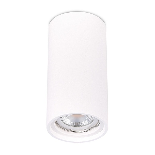 Потолочный светильник ST Luce ST155.502.01 изображение 1 Потолочный светильник ST Luce ST155.502.01 Фото № 1