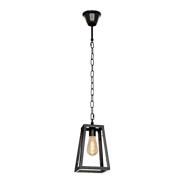 Подвесной светильник Loft IT Modern Filament Loft1127 Фото № 1