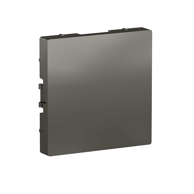 Заглушка Systeme Electric AtlasDesign сталь ATN000909 изображение 1 Заглушка Systeme Electric AtlasDesign сталь ATN000909 Фото № 1