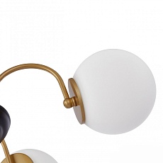 Подвесная люстра Arte Milano Napoli 312066/D700/5 BS/BK 3