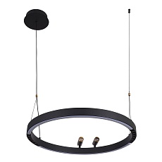 Подвесная светодиодная люстра F-Promo Slinga 4474-1P 4