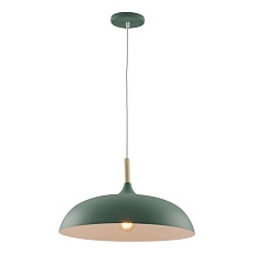 Подвесной светильник Moderli Hygo V11453-1P