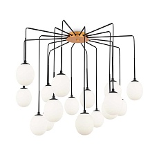 Подвесная люстра Maytoni Branch MOD176PL-16G