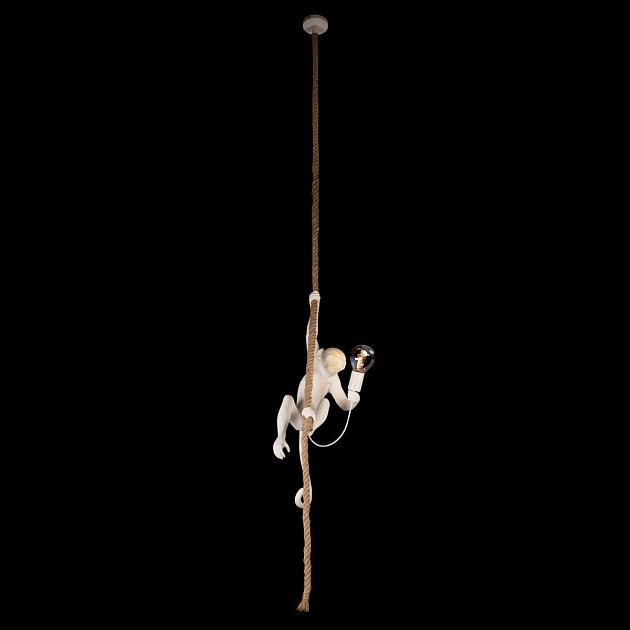 Подвесной светильник Loft IT Monkey 10314P изображение 4 Подвесной светильник Loft IT Monkey 10314P Фото № 4