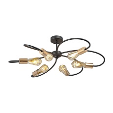 Потолочная люстра Vitaluce V3076-1/6PL 4