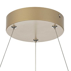 Люстра подвесная Citilux EVA CL210132 1